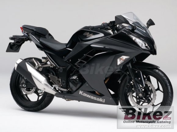 2013 Kawasaki Ninja 250 photo